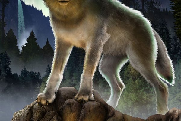 wolf_background